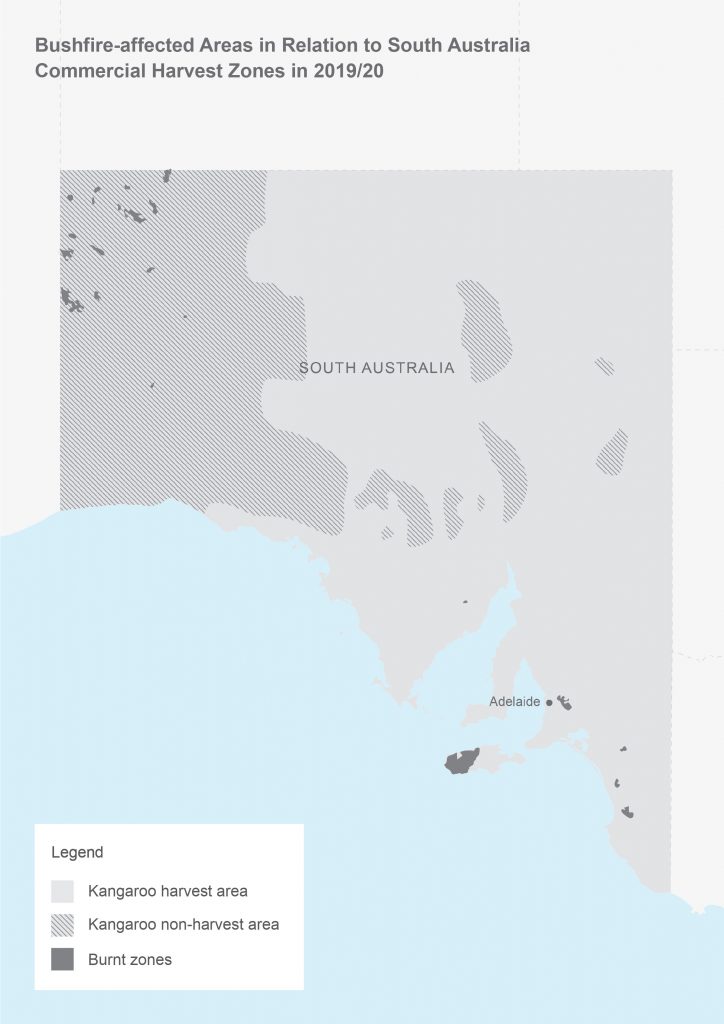 Bushfire-affected areas in relation to South Australia Kangaroo harvest zones in 2019/20